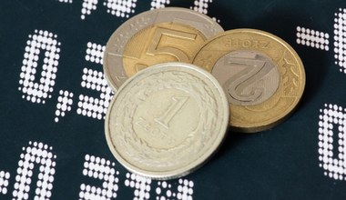 Kursy walut. Złoty stabilny, dolar wciąż tani