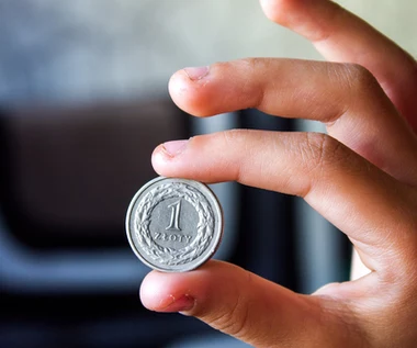 Kursy walut. Złoty umocnił się po "słownej interwencji"