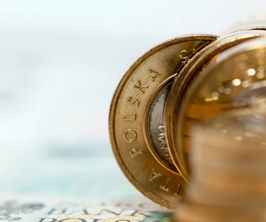 Kursy walut. Złoty wciąż osłabiony