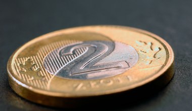 Kursy walut. Złoty wciąż pod presją - dolar zyskuje