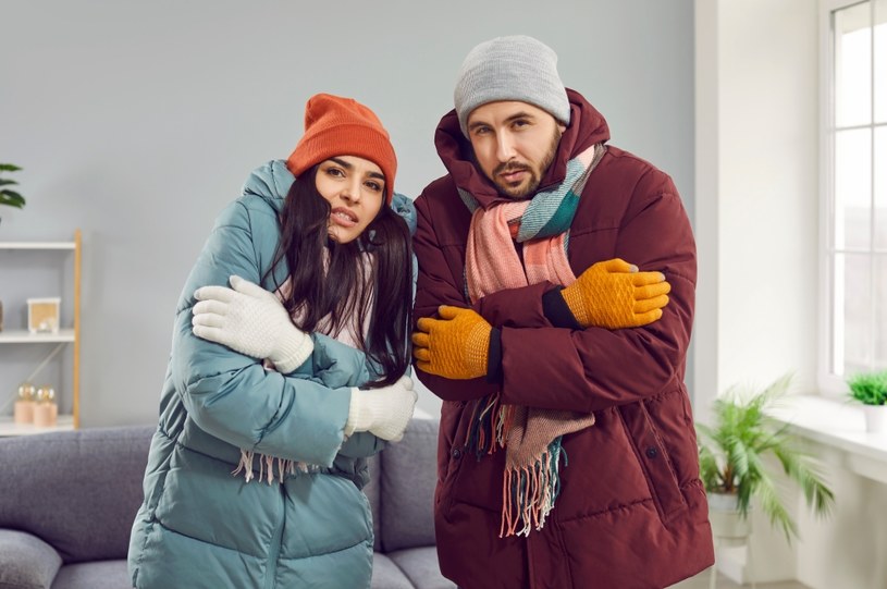 Kurtki i buty na zimę kupisz w Biedronce! /adobestock /INTERIA.PL
