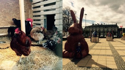 Kurza Chata w Łódzkiem. To największa taka instalacja wielkanocna w Polsce