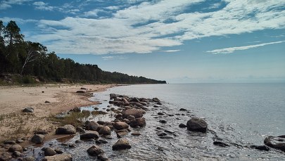 Kusiły klientów wizją odpoczynku nad morzem. Oszukały co najmniej 75 osób  
