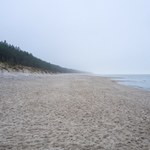 Kwadrans od Kołobrzegu, a o wiele taniej i bez tłumów. O tej pięknej plaży mało kto słyszał