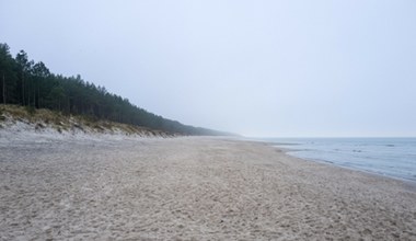 Kwadrans od Kołobrzegu, a o wiele taniej i bez tłumów. O tej pięknej plaży mało kto słyszał
