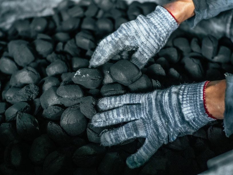 Kwalifikowani dostawcy węgla PGG zajmują się dystrybucją surowca na terenie całej Polski /123RF/PICSEL