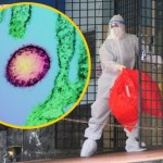 Kwarantanna i rygorystyczne procedury. Nowe przypadki wirusa Nipah w Indiach