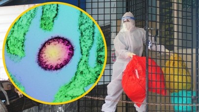 Kwarantanna i rygorystyczne procedury. Nowe przypadki wirusa Nipah w Indiach