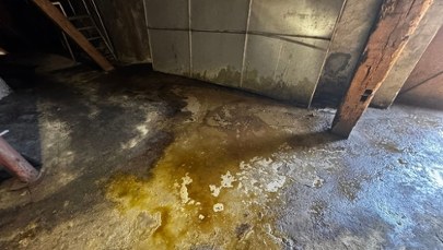 Kwas siarkowy w kanalizacji w Inowrocławiu. Sprawę bada policja i WIOŚ