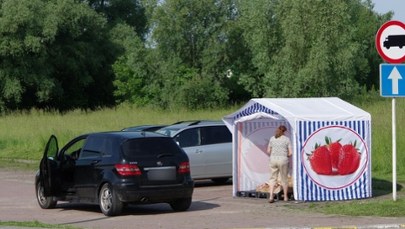 Kwasem w konkurencję? Ktoś niszczy stoiska z truskawkami