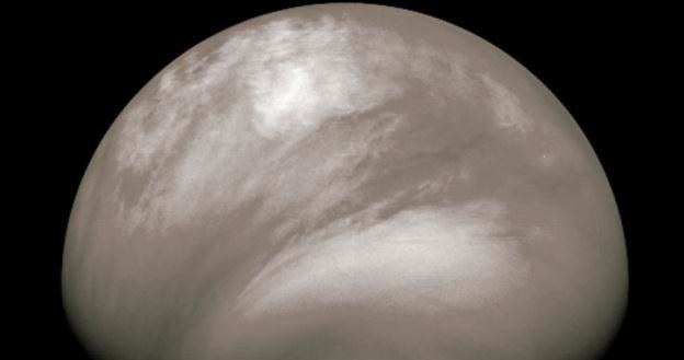 Kwasowe chmury nad Wenus /NASA