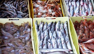 Kwasy omega-3. Jak wpływają na nasz organizm i gdzie ich szukać?