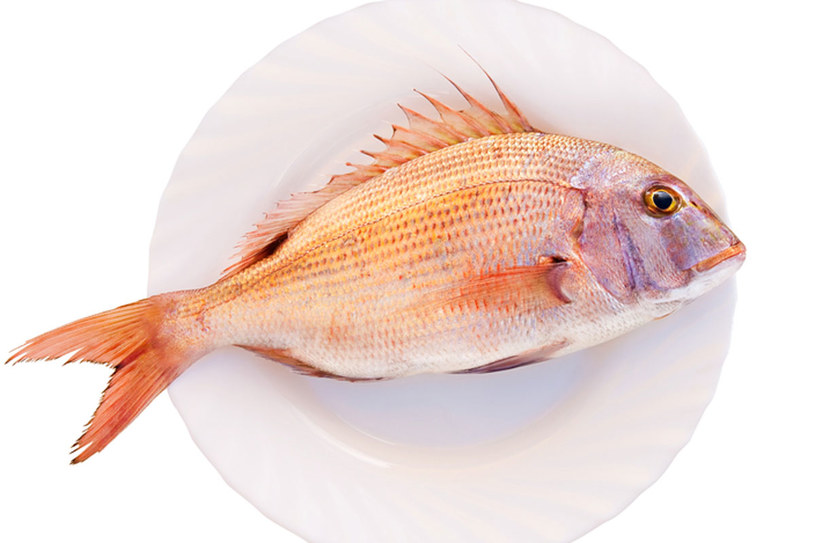 Kwasy omega 3 zawarte w rybach są zbawienne dla naszych stawów &nbsp; /&copy; Panthermedia