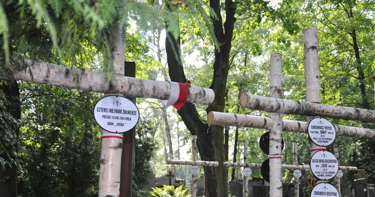 Kwatera powstańców warszawskich na cmentarzu Powązkowskim /INTERIA.PL