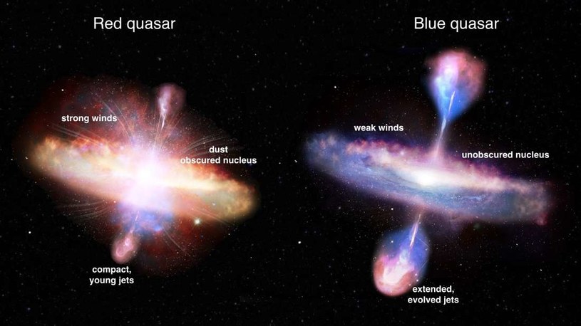 Kwazary mogą zmieniać swój kolor w trakcie życia /materiały prasowe