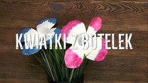 Kwiatki z butelek