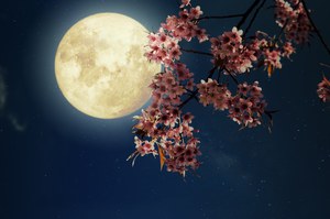 Kwiatowy Księżyc. Wyjątkowa pełnia Księżyca w maju 