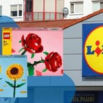 Kwiaty LEGO na Dzień Matki w Lidlu. Cena zestawów jest zaskakująco niska!