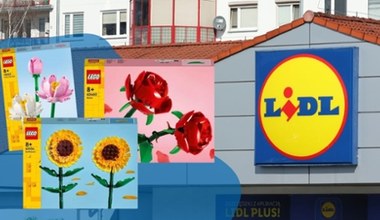 Kwiaty LEGO na Dzień Matki w Lidlu. Cena zestawów jest zaskakująco niska!