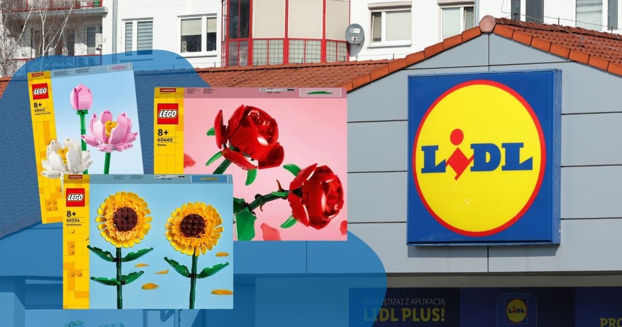 Kwiaty LEGO w Lidlu! /adobestock/Lidl /INTERIA.PL