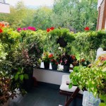 Kwiaty na balkonie i grill? Za to może grozić mandat