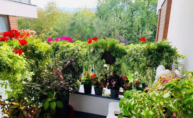 Kwiaty na balkonie i grill? Za to może grozić mandat