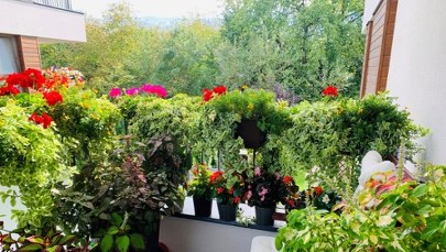 Kwiaty na balkonie i grill? Za to może grozić mandat