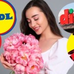 Kwiaty na Dzień Kobiet 2026. Gdzie zapłacisz najmniej za bukiet lub storczyk?