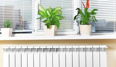 Kwiaty nad ciepłym grzejnikiem. Czy to dobry pomysł?