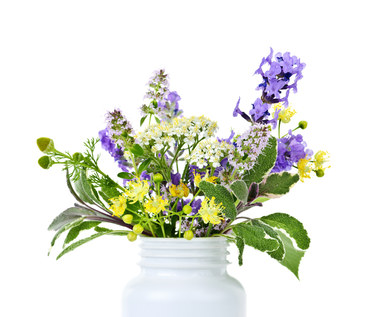 Kwiaty o właściwościach leczniczych i ich działanie