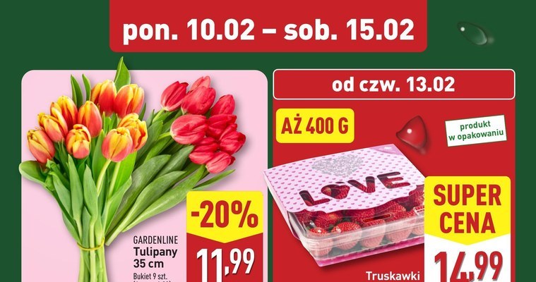 Kwiaty od 2,99 zł w Aldi! /Aldi.pl /INTERIA.PL