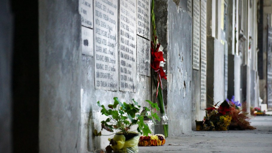 Kwiaty przed tablicą pamiątkową w Ogrodzie Saskim /Michał Dukaczewski /RMF FM