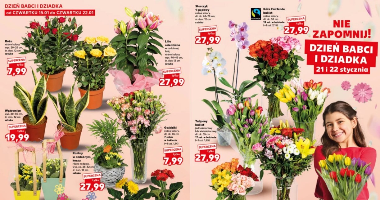 Kwiaty w atrakcyjnych cenach w Kauflandzie /Kaufland /INTERIA.PL