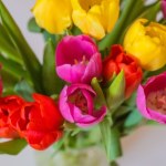 Kwiaty w wazonie szybko więdną? Mało kto wie, że znaczenie ma ilość wody