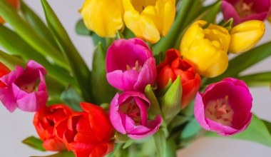 Kwiaty w wazonie szybko więdną? Mało kto wie, że znaczenie ma ilość wody