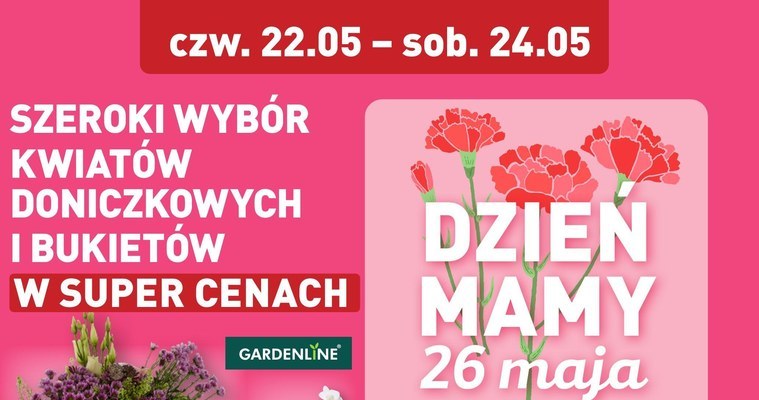 Kwiaty z Aldi na Dzień Matki robią furorę. Takiej promocji nikt się nie spodziewał! /Aldi