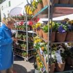 Kwiaty za przyniesione książki. Pierwsza taka akcja pod biurem Polsatu