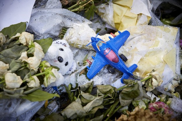 Kwiaty złożone dla ofiar lotu MH17 / 	MARTIJN BEEKMAN   (PAP/EPA) /PAP/EPA