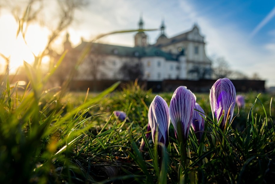 Kraków otwiera klasztorne ogrody dla mieszkańców i turystów