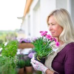 Kwitnący balkon przez cały rok. Sekrety ogrodników, które naprawdę działają