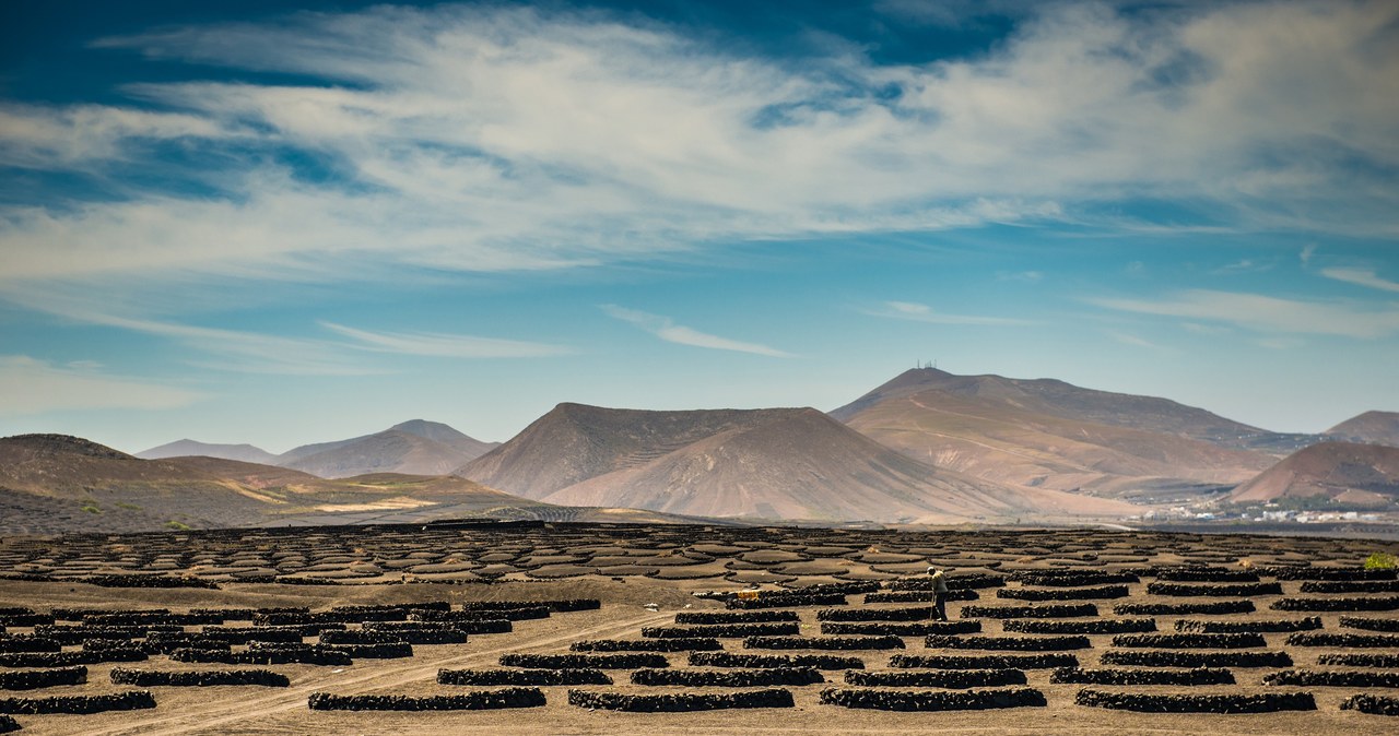 La Geria - winnice na Lanzarote. /123RF/Picsel, 123RF/Picsel /INTERIA.PL