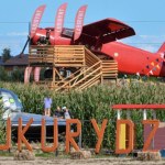 Labirynt w polu kukurydzy. To hit wakacji blisko Helu 