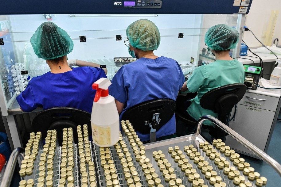 Labolatorium firmy BioMaxima w Lublinie /Wojtek Jargiło /PAP
