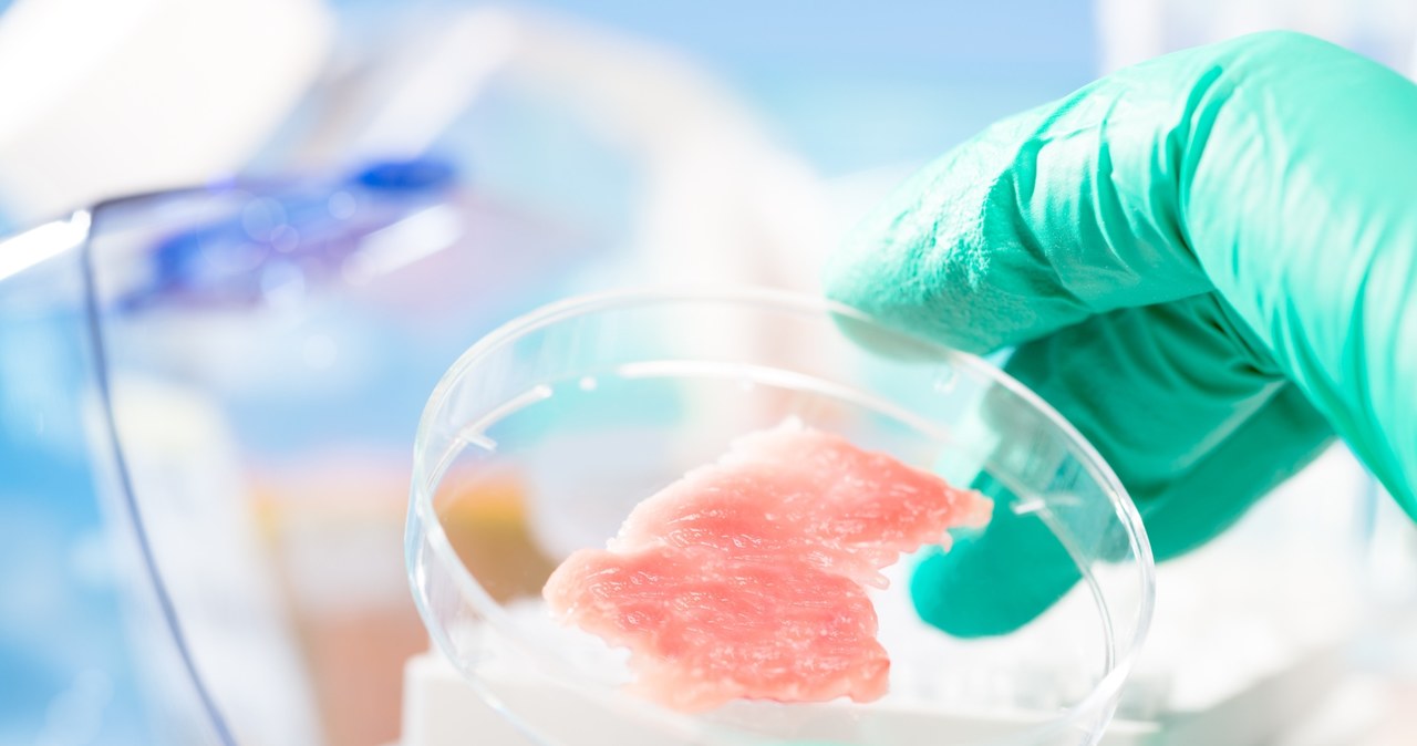 Laboratoryjnie hodowane mięso okazuje się być zbyt nienaturalne dla uczestników badania /123RF/PICSEL