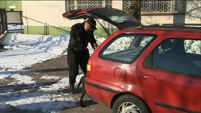 Labrador Lucky przechodzi na emeryturę