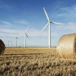Lądowe farmy wiatrowe - brytyjski rząd wycofuje się ze sprzeciwu 