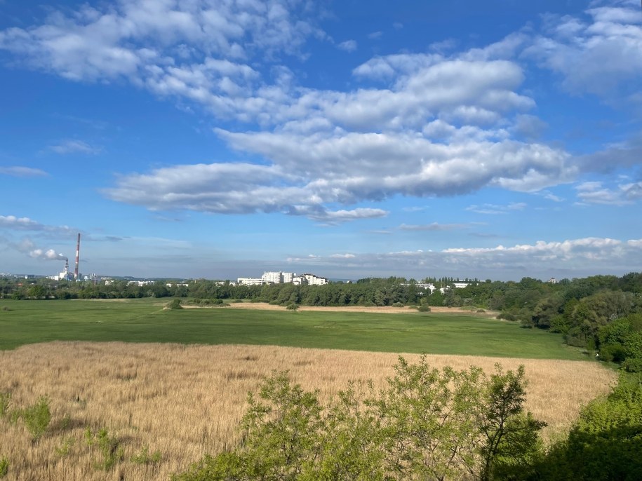 Łąki Nowohuckie /Anna Barańska-Całek /RMF24