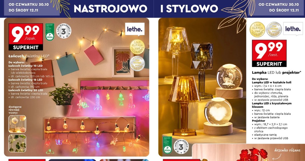 Lampki LED z Biedronki /Biedronka /INTERIA.PL