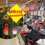 Lampy i doniczki -50% taniej - od dzisiaj w Lidlu, jeden trik i ogród wygląda inaczej