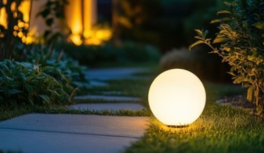 Lampy solarne od 9,99 zł w Biedronce! Rozświetl ogród za grosze
